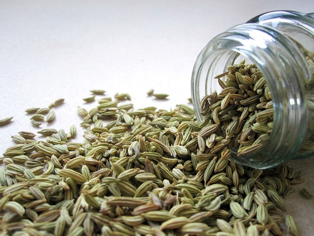 Benefits of Fennel Seeds